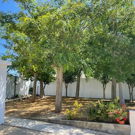 En Conil, Descansa Y Disfruta
